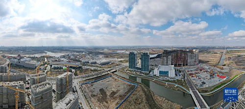 上海自貿(mào)區(qū)臨港新片區(qū)新春建設(shè)忙